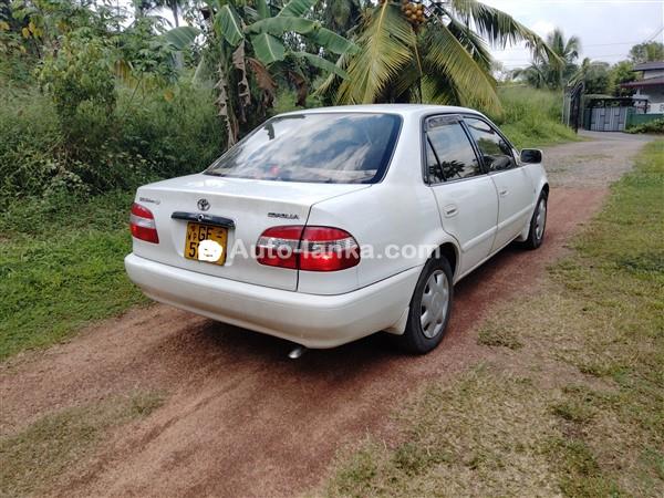 Toyota COROLLA-114 1997 Cars For Sale in SriLanka 