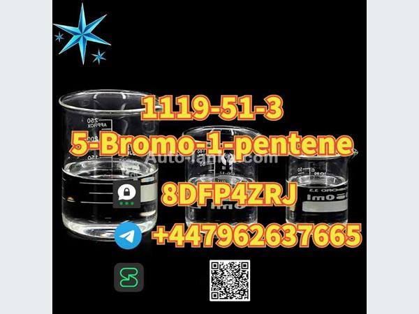 Other  1119-51-3	5-Bromo-1-pentene 2015 Others For Sale in SriLanka 