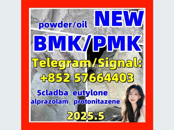 Ashok Leyland New Pmk powder PMK oil 28578-16-7 New Bmk powder BMK oil 5449-12-7 5cladba eutylone 2015 Buses For Sale in SriLanka 