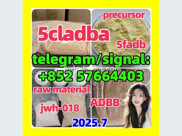 Aprilia 5cl-adb, 5c, 5cl, 5cl-adb-a, 5cladba With Lowest Price And Fast Delivery By Hong Kong 2015 Buses For Sale in SriLanka 