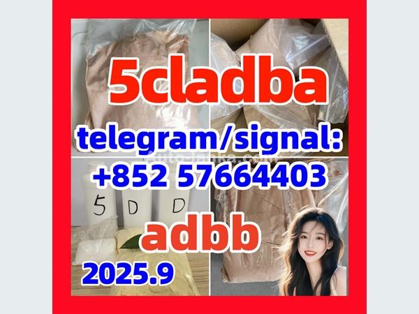 Audi 5cladba 5fadb 5cladbb jwh-018 Raw Materials precursor584-08-7 68-12-2 407-97-6 2015 Buses For Sale in SriLanka 