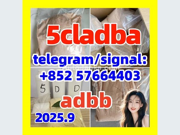 Audi Beauty | 5cladba raw material 5CL-ADB-A precursor raw 5cladba 5f adb 2015 Buses For Sale in SriLanka 