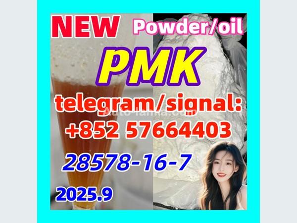Ashok Leyland PMK 28578-16-7 New PMK Powder oil Ethyl Glycidate 1451-82-7 51-05-8 2015 Buses For Sale in SriLanka 