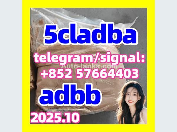 Honda 5cladba adbb 5fadb jwh-018 1119-51-3 68-12-2 dmf 2015 Pickups For Sale in SriLanka 