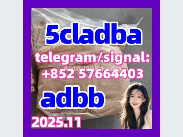 Austin 5cladb 5CLADBA Adbb 5fadb 5cl-adb-a 5f-ADB - 2015 Jeeps For Sale in SriLanka 