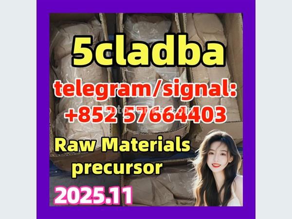Audi 5cladba 5cladba Yellow Powder 5CL-ADB-A 5F-Adb 5Fadb 2015 Buses For Sale in SriLanka 