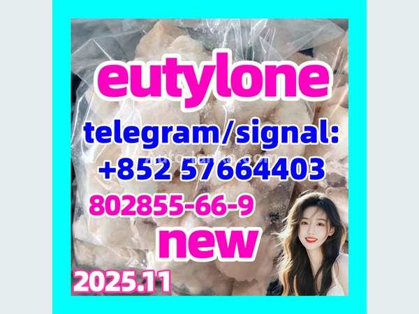 Audi 2fdck, 2fdck,2-fdck,ketamine, Eutylone, 5cladba,eutylone From AED 100 from 2015 Trucks For Sale in SriLanka 