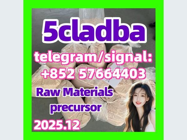 BMW 5CLADBA Yellow Powder Buy 5CL-ADB-A Online 2015 Motorbikes For Sale in SriLanka 