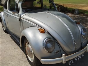 volkswagen-beetle-1955-cars-for-sale-in-colombo