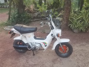 honda-chaly-70-1996-motorbikes-for-sale-in-puttalam