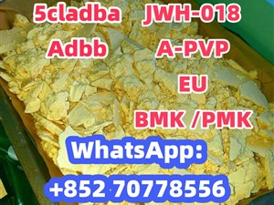honda-strongest-5cladba-5cl-adb-a-precursor-2015-pickups-for-sale-in-colombo