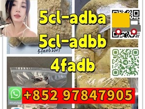 chery-2025-2025-motorbikes-for-sale-in-ampara
