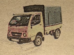 dimo-batta-2011-trucks-for-sale-in-kalutara
