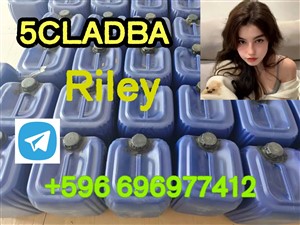 alfa-romeo-m-2015-spare-parts-for-sale-in-kalutara