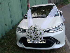 Wedding and rent cars.(Mudiyanse cars)