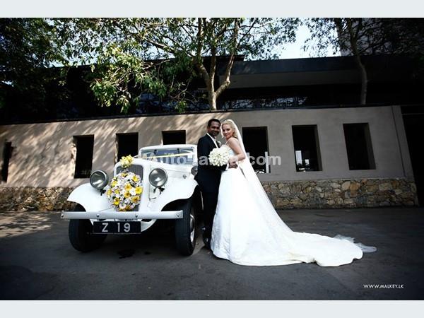 classic cars  for wedding