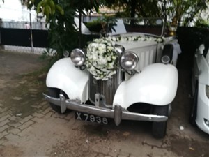 classic cars  for wedding