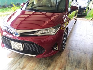 Toyota Axio car for rent