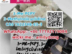 Hot Factory 3-Me-PCPY 3-Methylrolicyclidine CAS 1622348-63-3