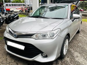 Toyota Axio for rent