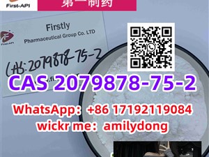 2-(2-Chlorophenyl)-2-nitrocyclohexanone cas 2079878-75-2 china sales