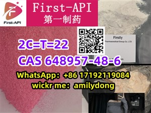 china sales 2C=T=22 cas 648957-48-6 2cb