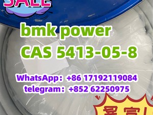 bmk/BMK power CAS 5413-05-8 hot sale Ethyl 3-oxo-2-phenylbutanoate