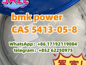 hot selling bmk/BMK power CAS 5413-05-8 Ethyl 3-oxo-2-phenylbutanoate