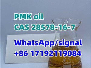 pmk/PMK Oil hot selling CAS 28578-16-7