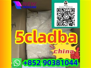 Buy 5cladba ADBB 5cladb Strong WhatsApp+852 90381044