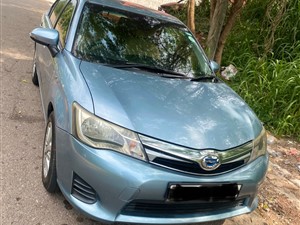 Axio Hybrid Car for Rent