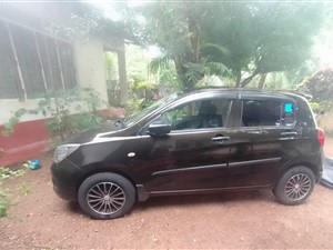 Suzuki Celario for Rent