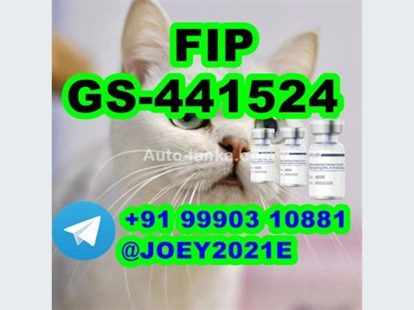 GS-441524 cat Fip Feline Infectious Peritonitis