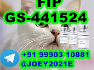 GS-441524 cat Fip Feline Infectious Peritonitis