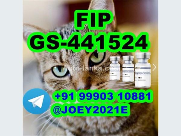 GS-441524 cat Fip Feline Infectious Peritonitis