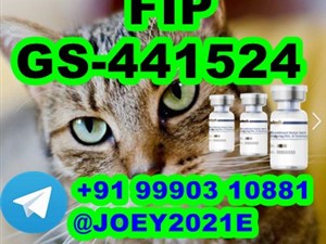 GS-441524 cat Fip Feline Infectious Peritonitis