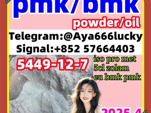 New pmk powder pmk oil New bmk powder bmk oil CAS 5449-12-7
