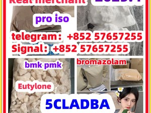 119276-01-6 protonitazene 14188-81-9 2732926-24-6 iso