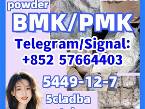5449-12-7 New pmk bmk powder P5cladba eutylone MK BMK Glycidic Fast delivery 24h high quality 99.9%