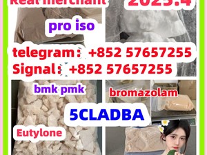 14188-81-9 2732926-24-6 iso 5449-12-7 bmk pmk