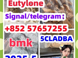 109555-87-5 5CLADBA Eutylone 802855-66-9 407-97-6