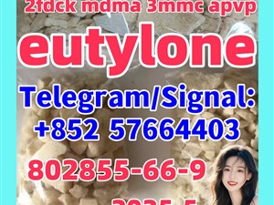 eutylone 802855-66-9 111982-49-1 2fdck mdma 3mmc apvp 5cladba