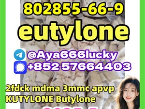 eutylone 802855-66-9 apvp 5cladba 2fdck mdma 3mmc 111982-49-1