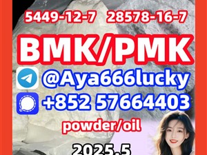 28578-16-7 new bmk New pmk powder oil 5449-12-7 Free sample Fast delivery 48h