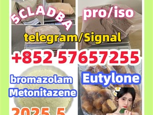 14188-81-9 2732926-24-6 iso 5449-12-7 bmk pmk