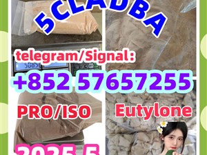109555-87-5 5CLADBA Eutylone 802855-66-9 407-97-6