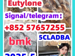 109555-87-5 5CLADBA Eutylone 802855-66-9 407-97-6
