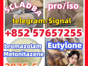 109555-87-5 5CLADBA Eutylone 802855-66-9 407-97-6