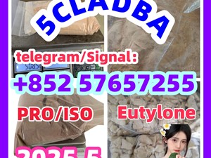 109555-87-5 5CLADBA Eutylone 802855-66-9 407-97-6