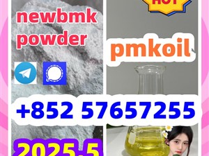 5449-12-7 bmk pmk